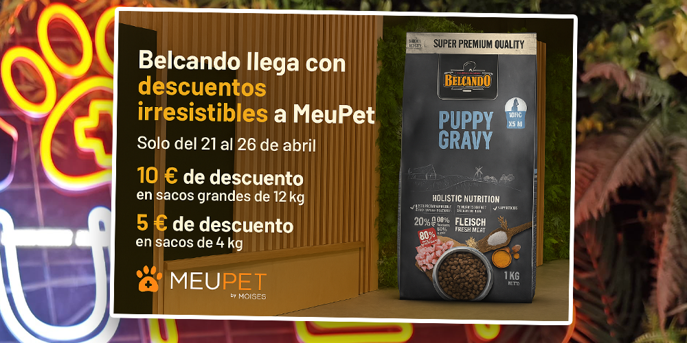 Comida para perros en Pontevedra