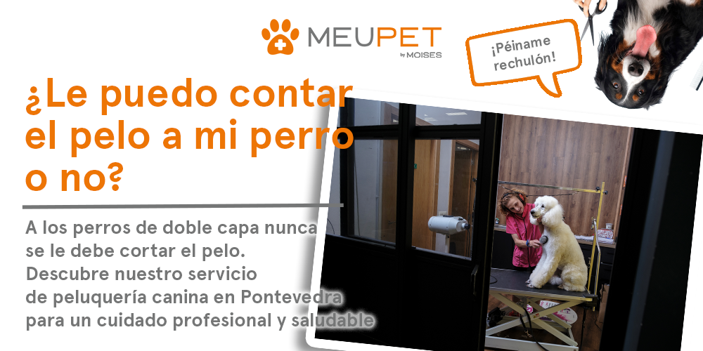 Peluquería canina en Pontevedra