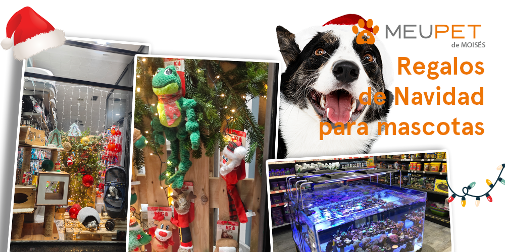 Regalos para mascotas en Navidad