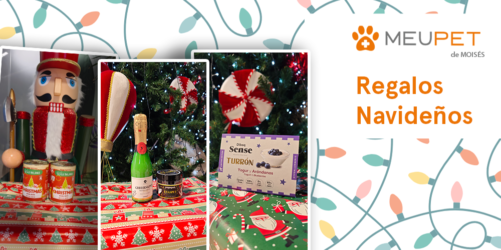 Regalos para mascotas en Navidad: Ideas de Reyes Magos