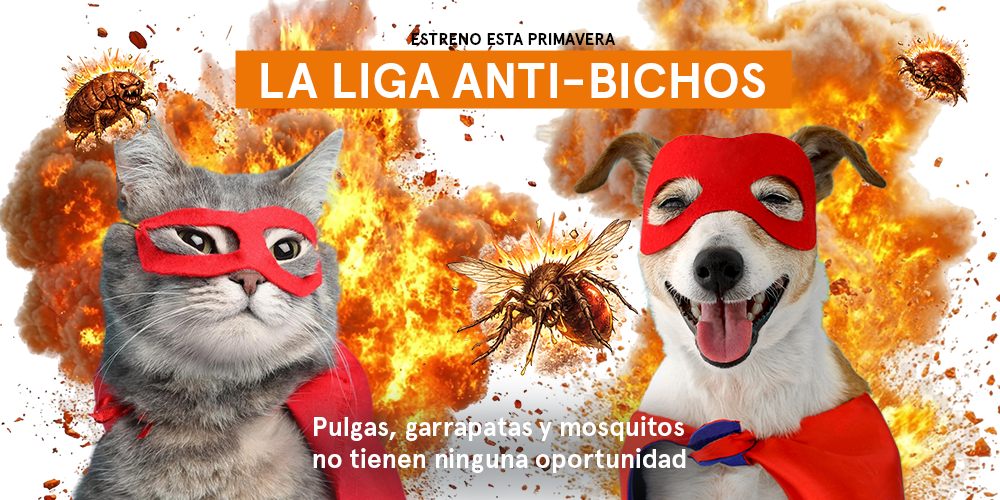 Antiparasitarios para perros y gatos