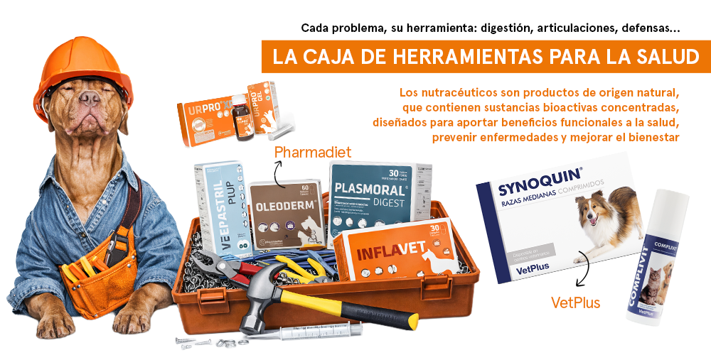 suplementos-nutricionales-para-perros-nutracéuticos