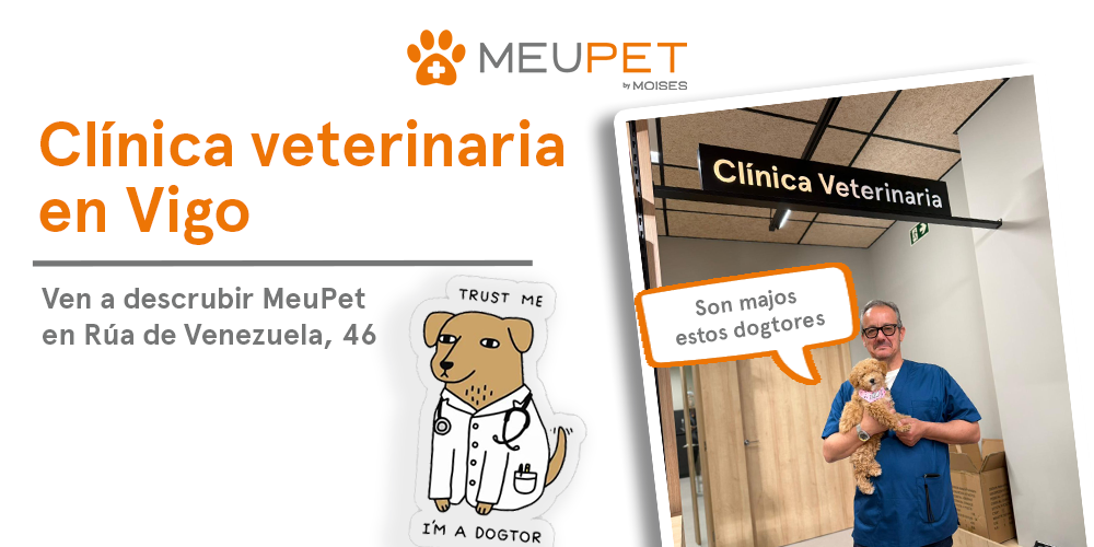 Clínica veterinaria en Vigo: descubre MeuPet