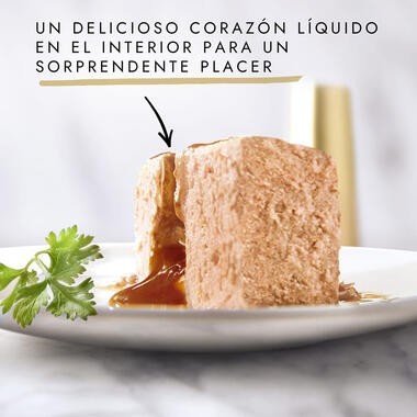 GOURMET GOLD Fondant Pollo 85 gr - Imagen 2