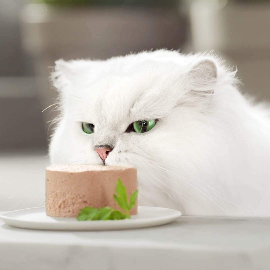 GOURMET GOLD Mousse Salmón 85 gr - Imagen 3