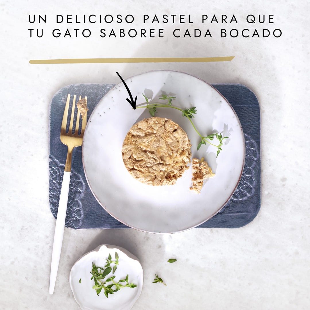 GOURMET GOLD Tartallette Pollo y Zanahoria 85 gr - Imagen 2