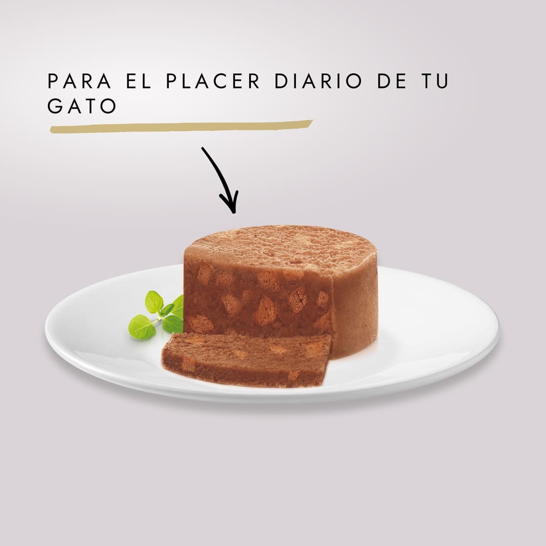 GOURMET GOLD Terrine Salmon 85 gr - Imagen 2
