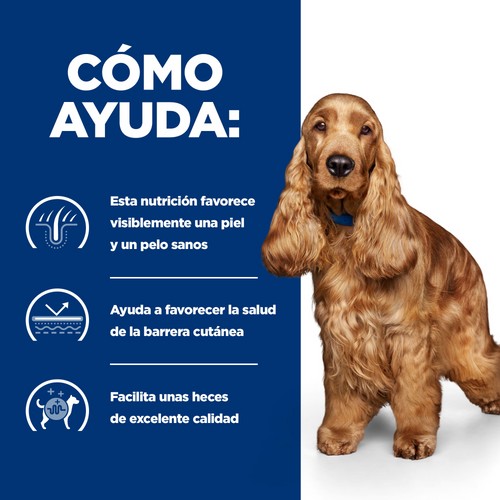 Hills PD Canine z/d 10 kg - Imagen 3