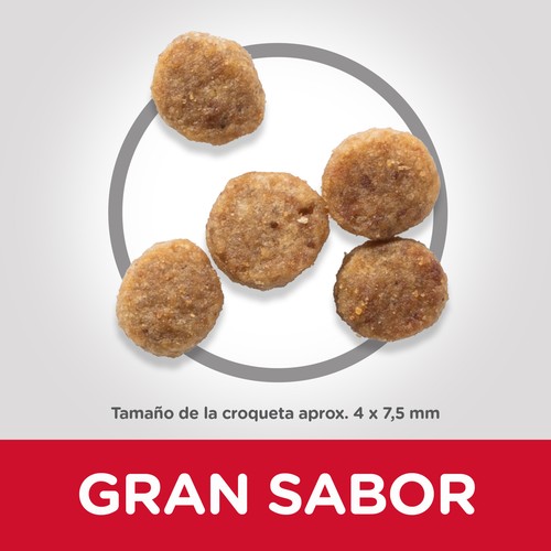 Hills SP Canine Senior 11+ Miniature Pollo 1,5 kg - Imagen 2