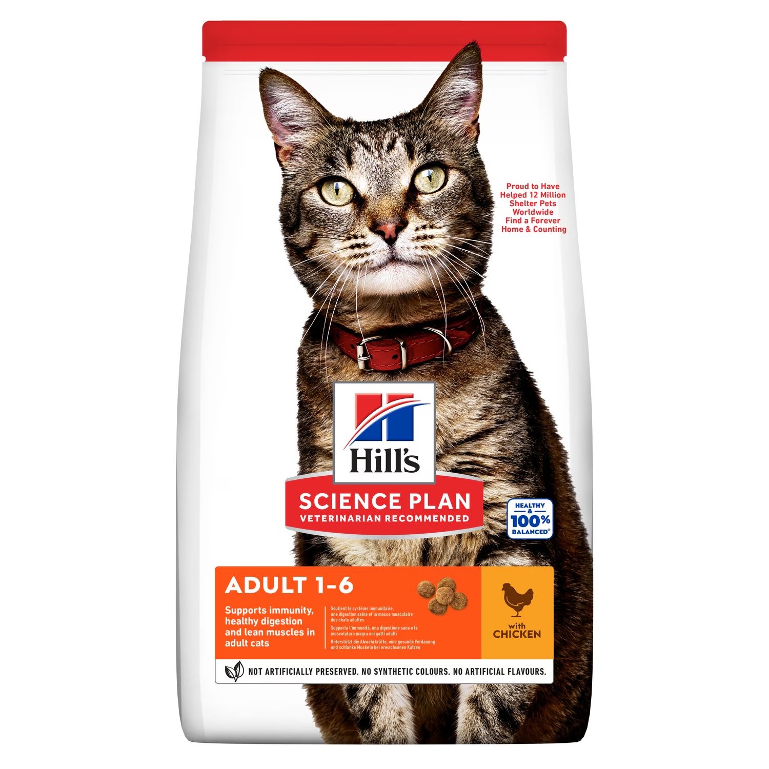 Hills SP Feline Adult Pollo 300 gr