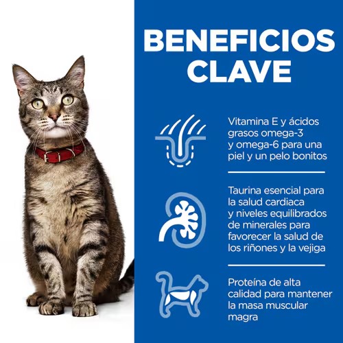 Hills SP Feline Adult Pollo 7 kg - Imagen 2