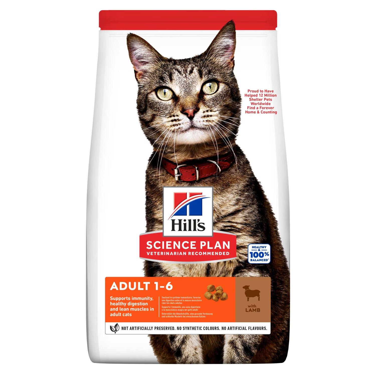 Hills SP Feline Adult Cordero & Arroz 1,5 kg