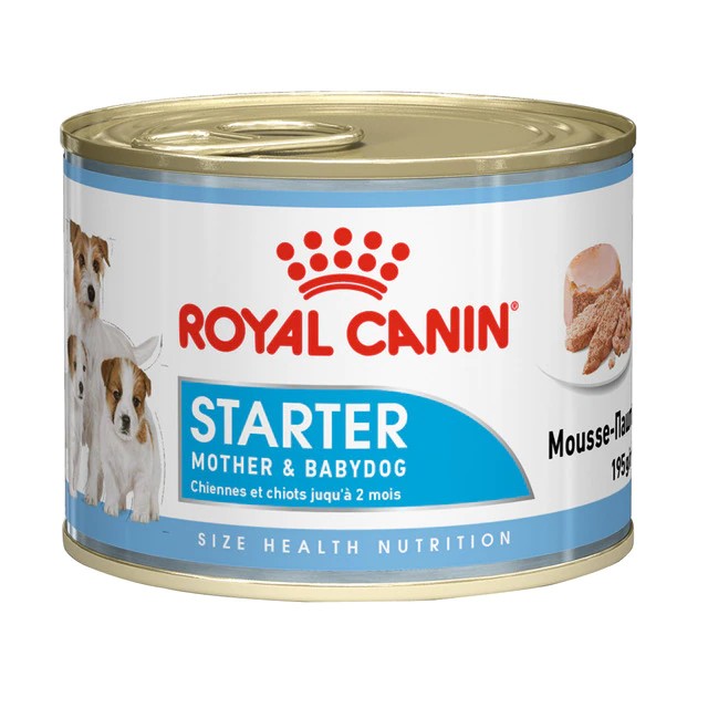 Royal Canin STARTER MOUSSE LATA 195 GR