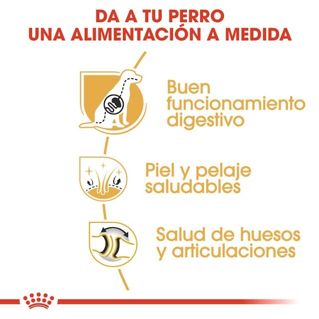 Royal Canin PASTOR ALEMAN ADULT 11 KG - Imagen 3
