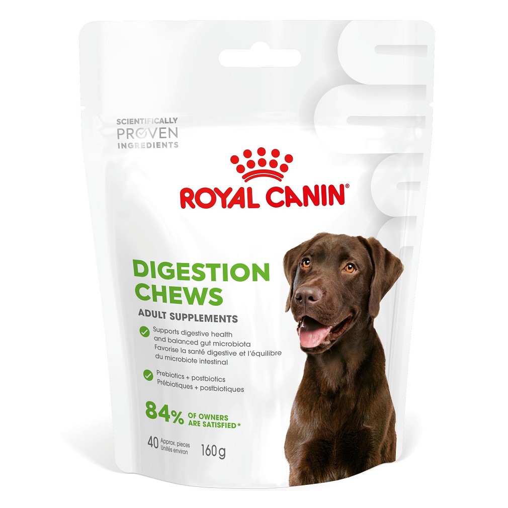 Royal Canin DIGESTION ADULT SUPPLEMENT 160 GR