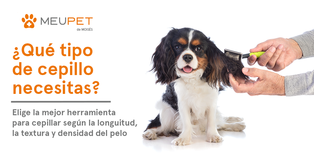 cepillo para perros