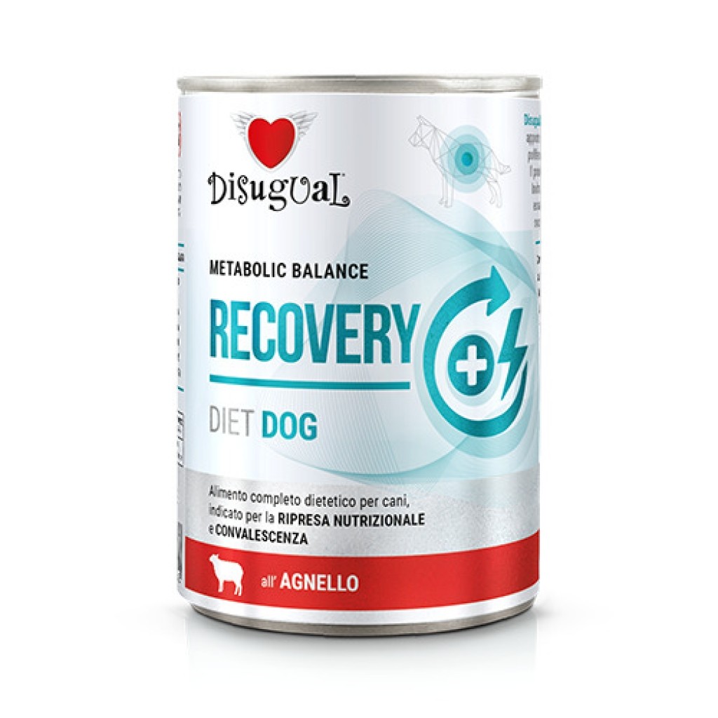 DSG Dieta Perro Recovery Cordero 400 gr